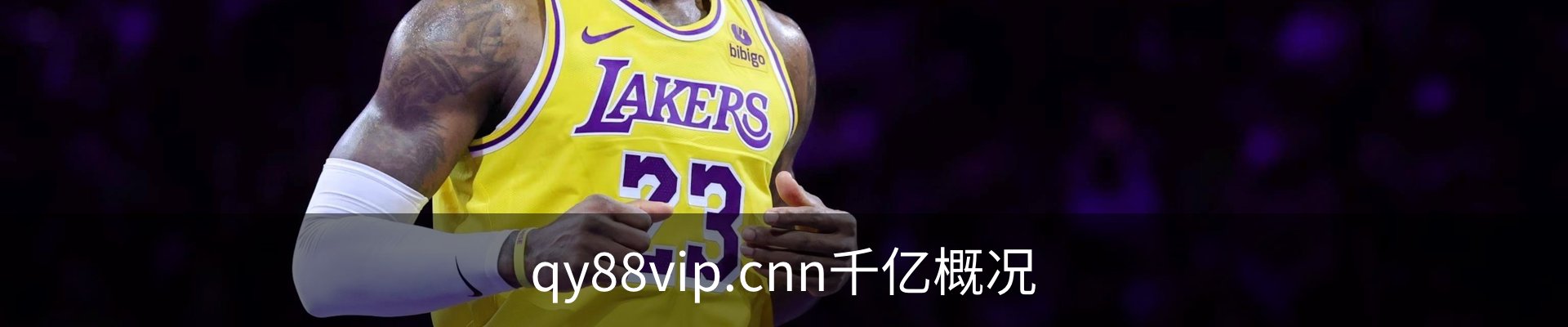 qy88vip.cnn千亿概况